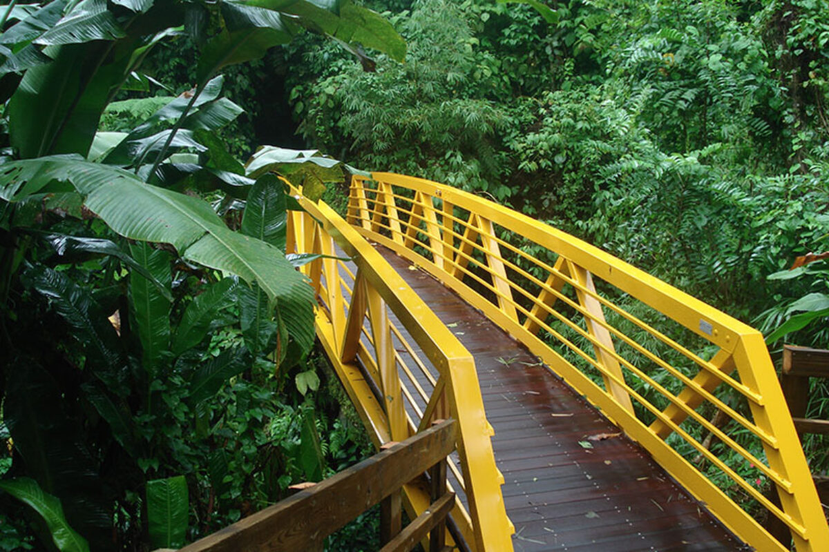 Passerelle Chazeau